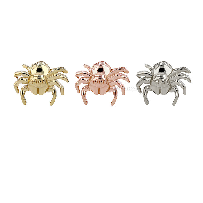 18ct Jumping Spider