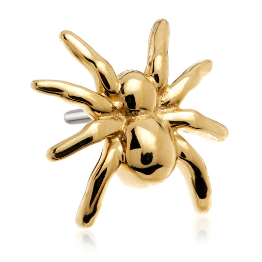 14ct Solid Gold Threadless 'Golden Widow' Spider Attachment