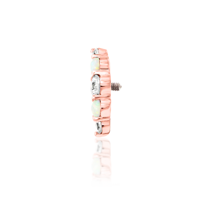 14ct Gold DANI