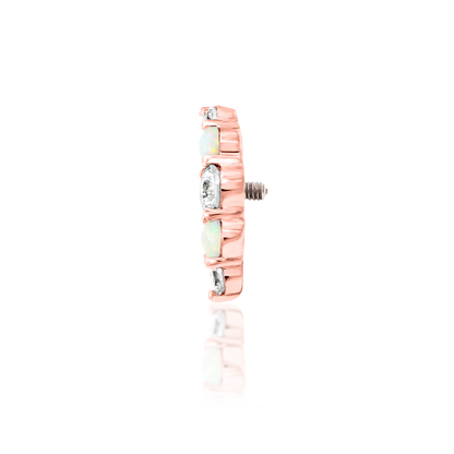 14ct Gold DANI