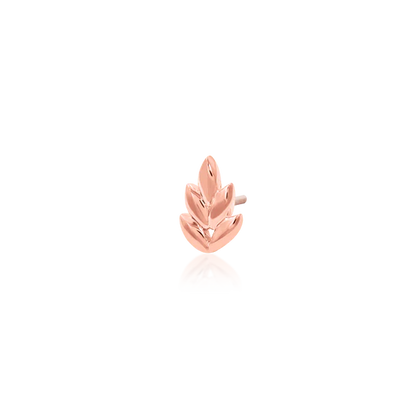 14ct GOLD FERNANDA