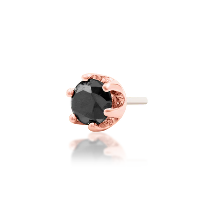 14ct GOLD Selena - Black CZ