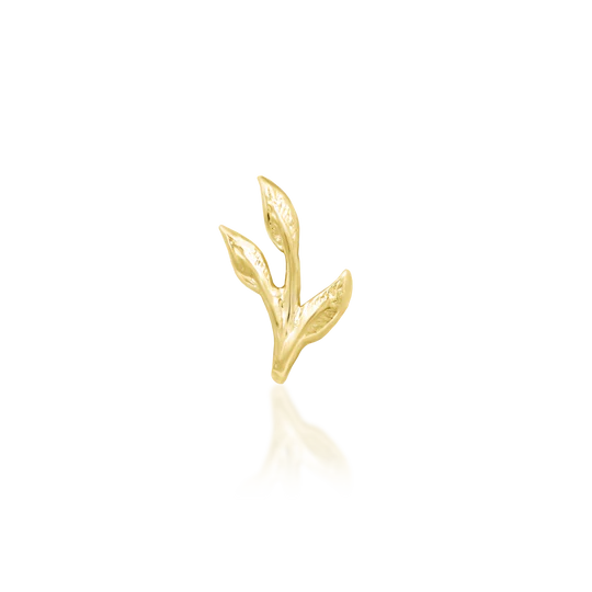 14ct GOLD ASHE