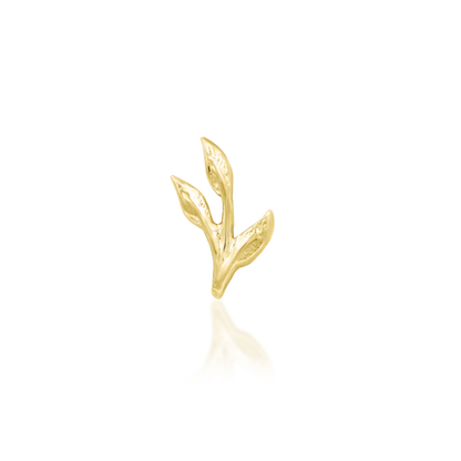14ct GOLD ASHE