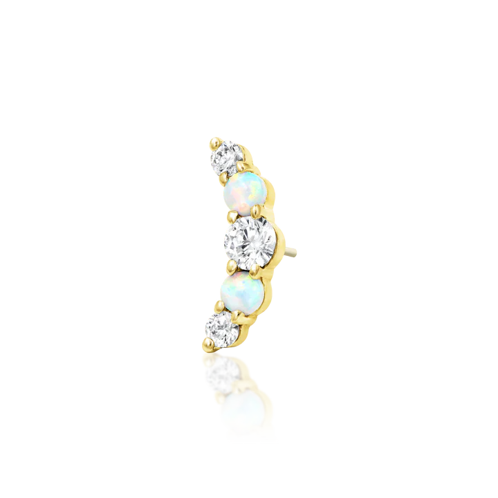 14ct Gold DANI
