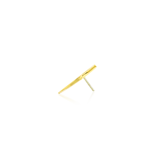 14ct GOLD SHELLY D